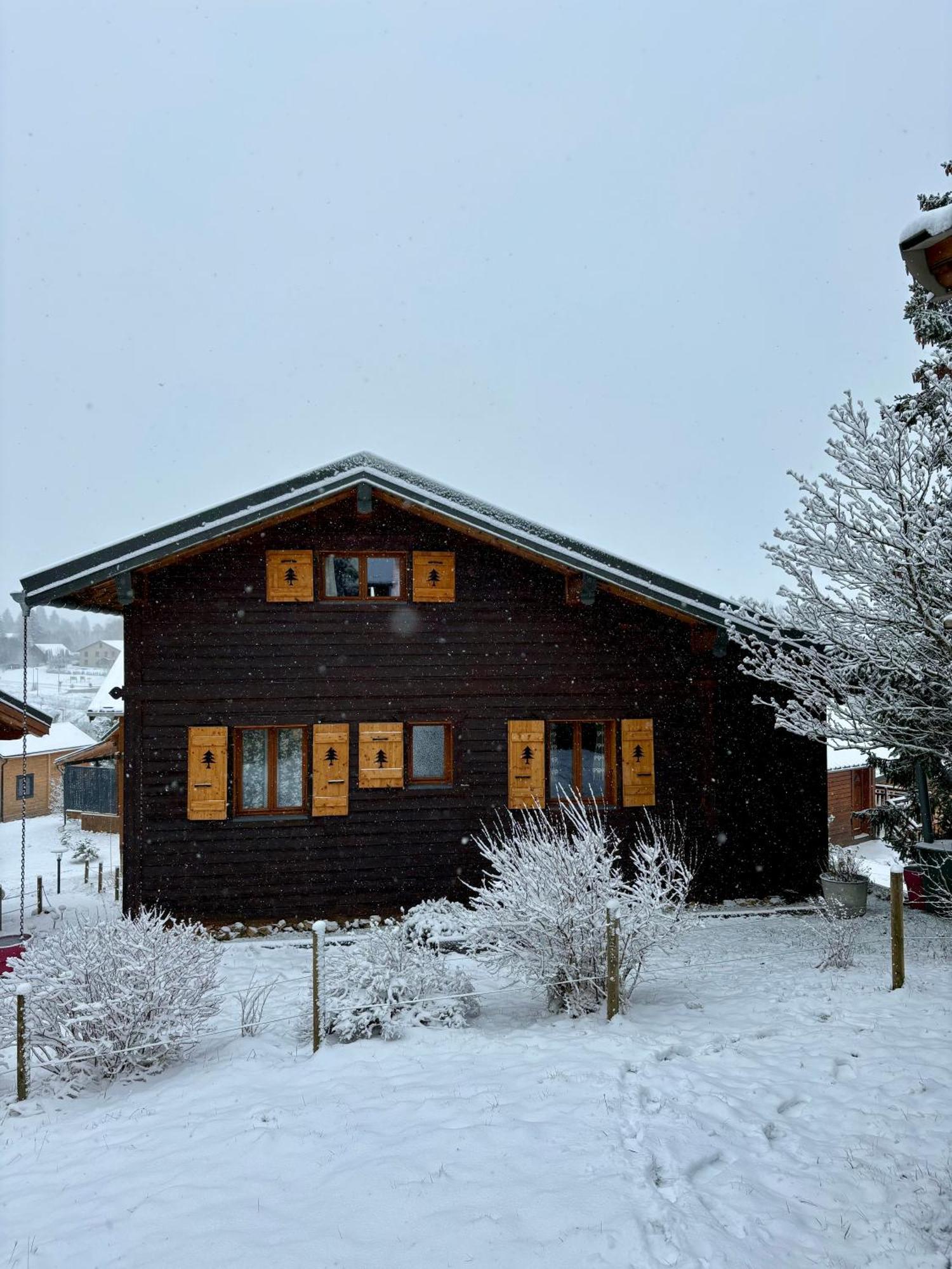 Saint-Laurent-en-Grandvaux Chalet L'Embellie - Chalet Avec Piscine Partagee מראה חיצוני תמונה