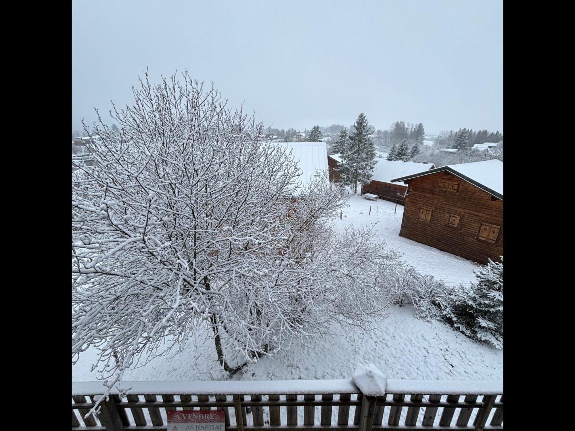 Saint-Laurent-en-Grandvaux Chalet L'Embellie - Chalet Avec Piscine Partagee מראה חיצוני תמונה